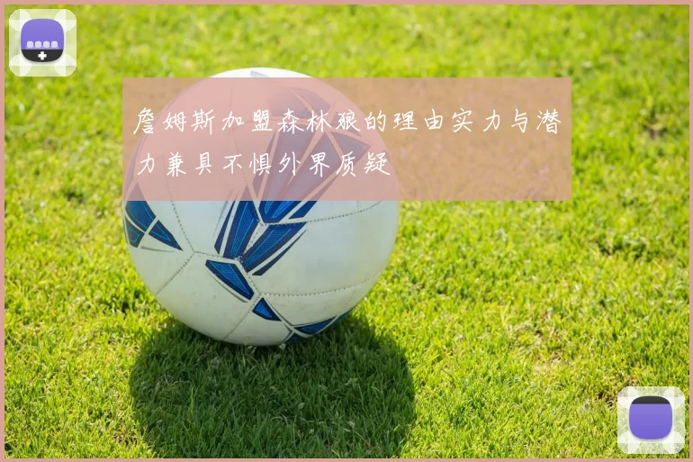 詹姆斯加盟森林狼的理由实力与潜力兼具不惧外界质疑