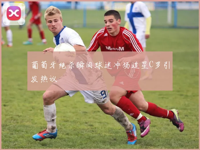 葡萄牙绝杀瞬间球迷冲场追星C罗引发热议